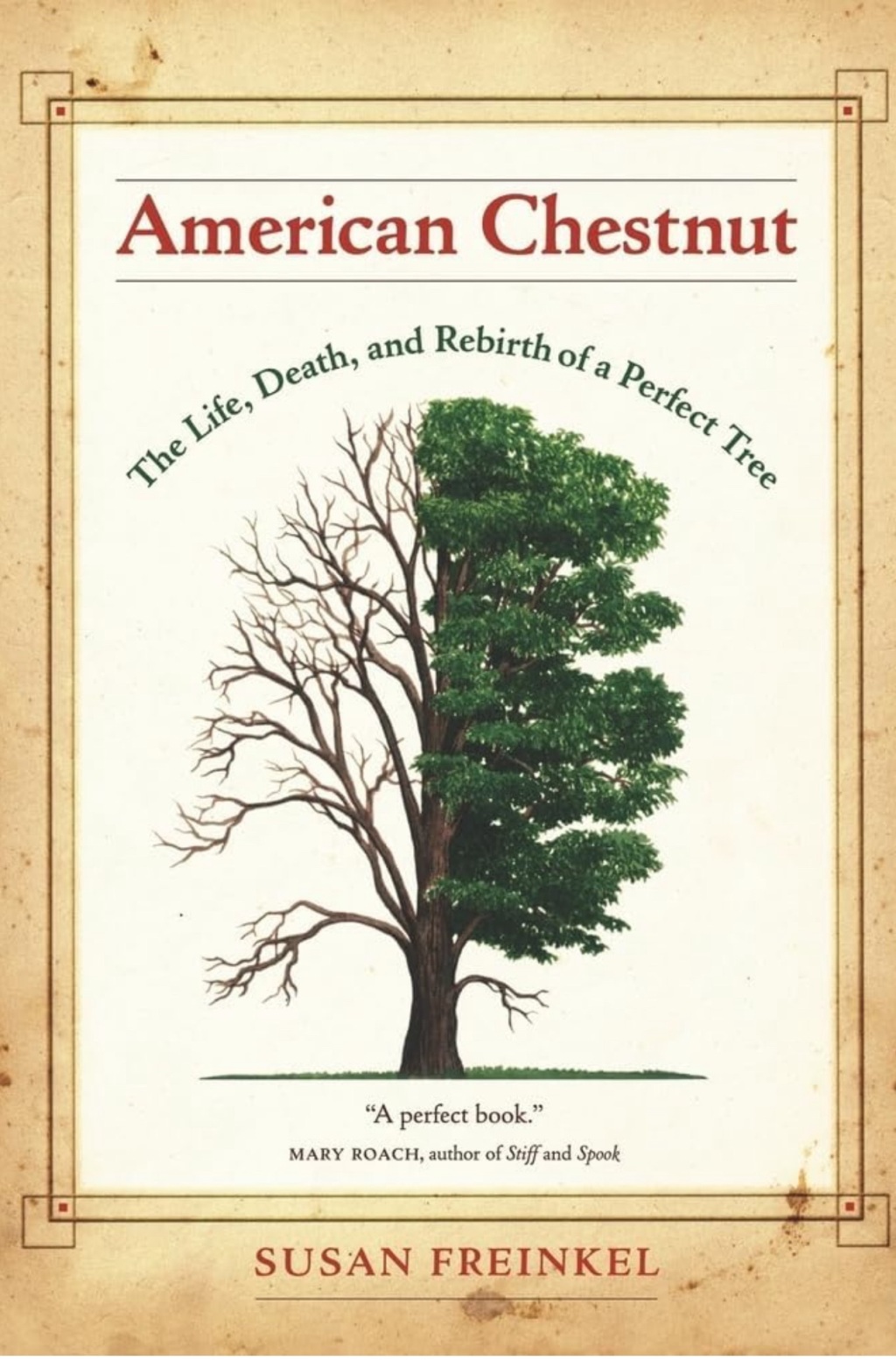 American Chestnut: The Life, Death, and Rebirth of a Perfect Tree
